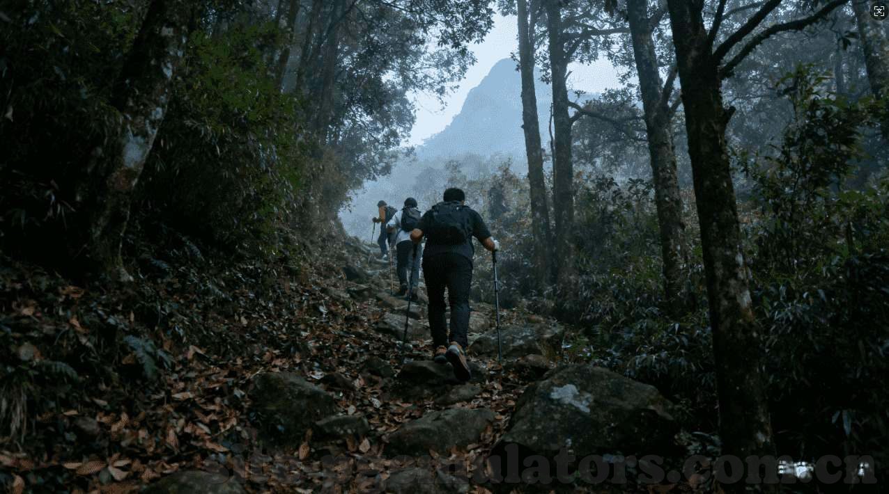 乐鱼体育平台合作大巴黎-乐鱼体育平台携手大巴黎，共筑体育新篇章